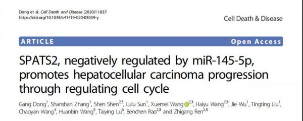 陈根：SPATS2如何联系了精子发生与肝癌发展？