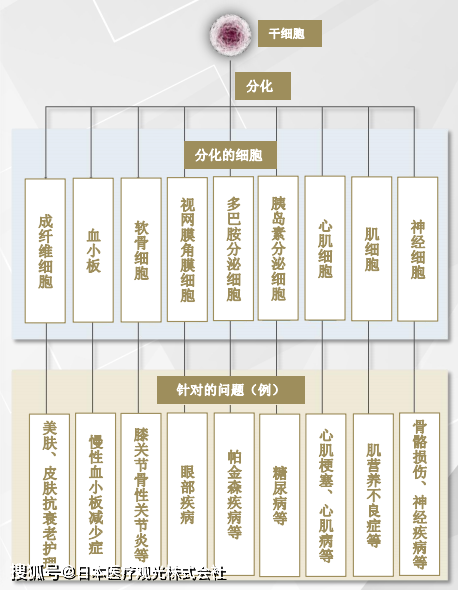 JMT-干细胞治疗糖尿病