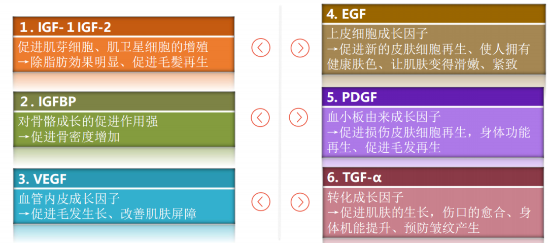 JMT-日本干细胞上清液的主要作用是什么呢？