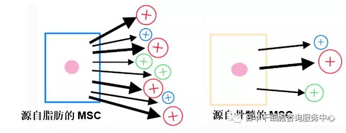 JMT-来源于脂肪组织干细胞的临床治疗特点