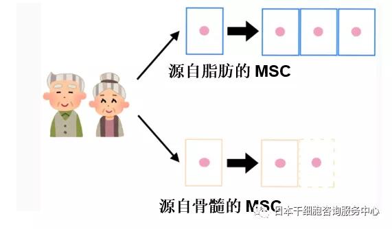 JMT-来源于脂肪组织干细胞的临床治疗特点