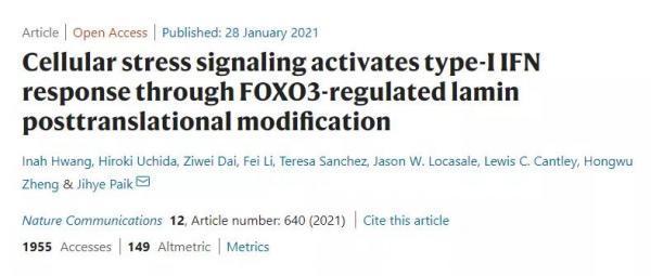  陈根：FOXO3，长寿人群的长寿基因