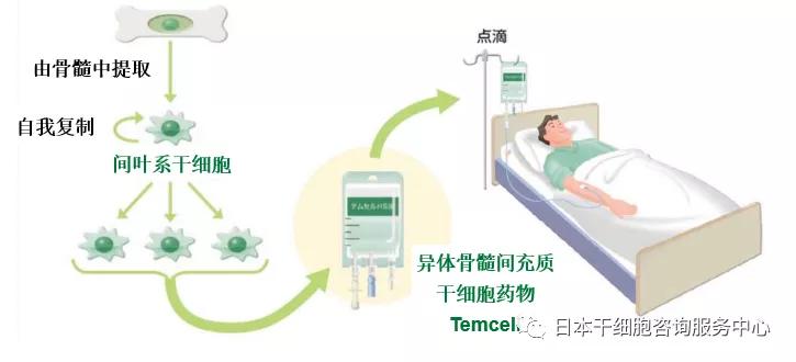 JMT-来源于脂肪组织干细胞的临床治疗特点